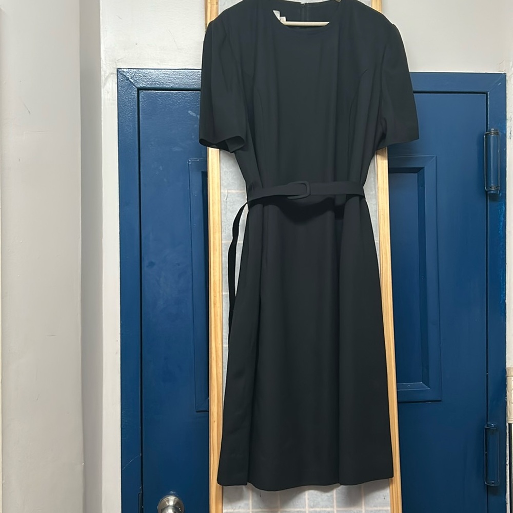 Elegant Black Belted Dress